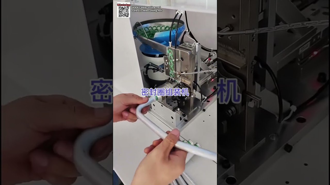 Hochgeschwindigkeits-Automatikmontagemaschine für Silikon-O-Ring-Dichtungen – Präzisionstechnik für maximale Effizienz