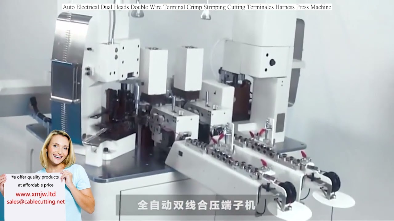 Automatische Doppelkopf-Crimp- und Abisolier-Maschine für zwei Drähte