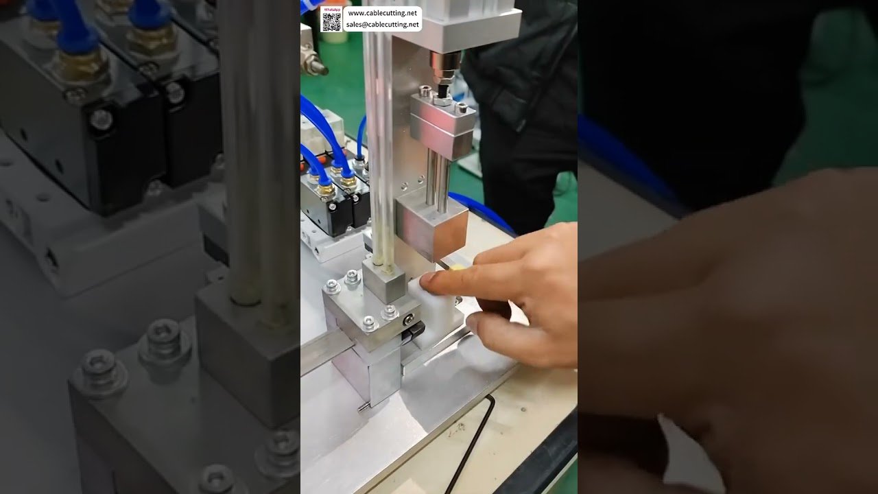 Magnetkern-Montagemaschine – Universelle automatische Presspassung für verschiedene Magnete