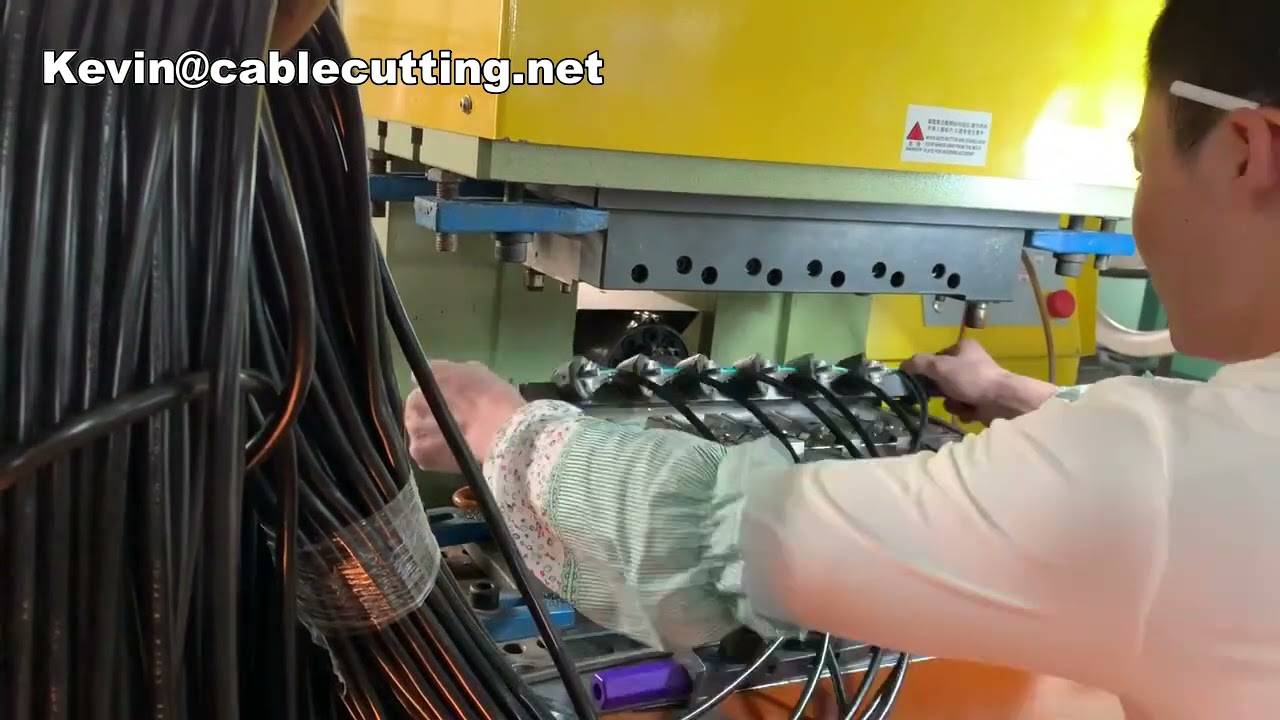 PVC-Stecker Spritzgießmaschine – Vertikale Kunststoffmaschine für die automatische Steckerproduktion