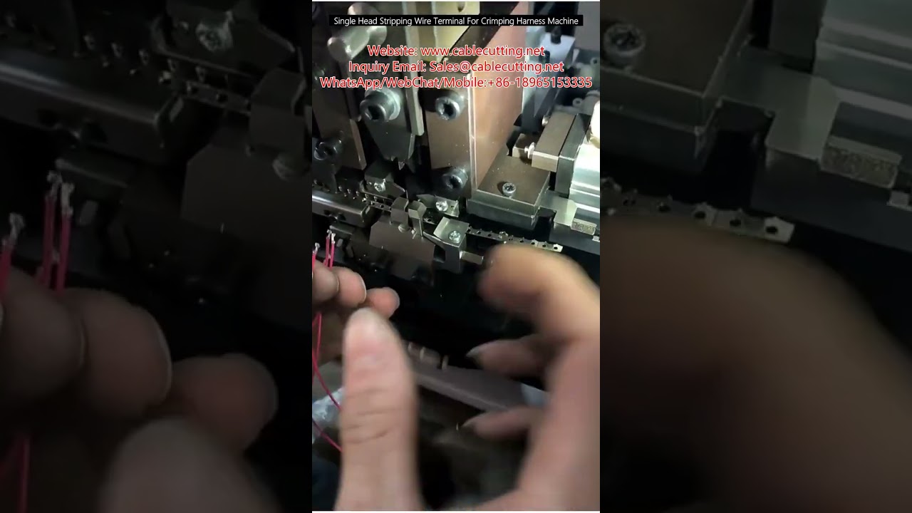 Einzelkopf-Abisoliermaschine für Crimpanschlüsse – Effiziente Kabelbaumproduktion