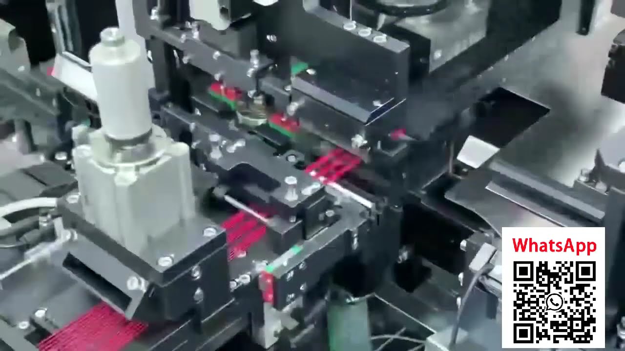 Vollautomatische Doppelkopf-Gehäuse-Einsetzmaschine mit Visionssystem