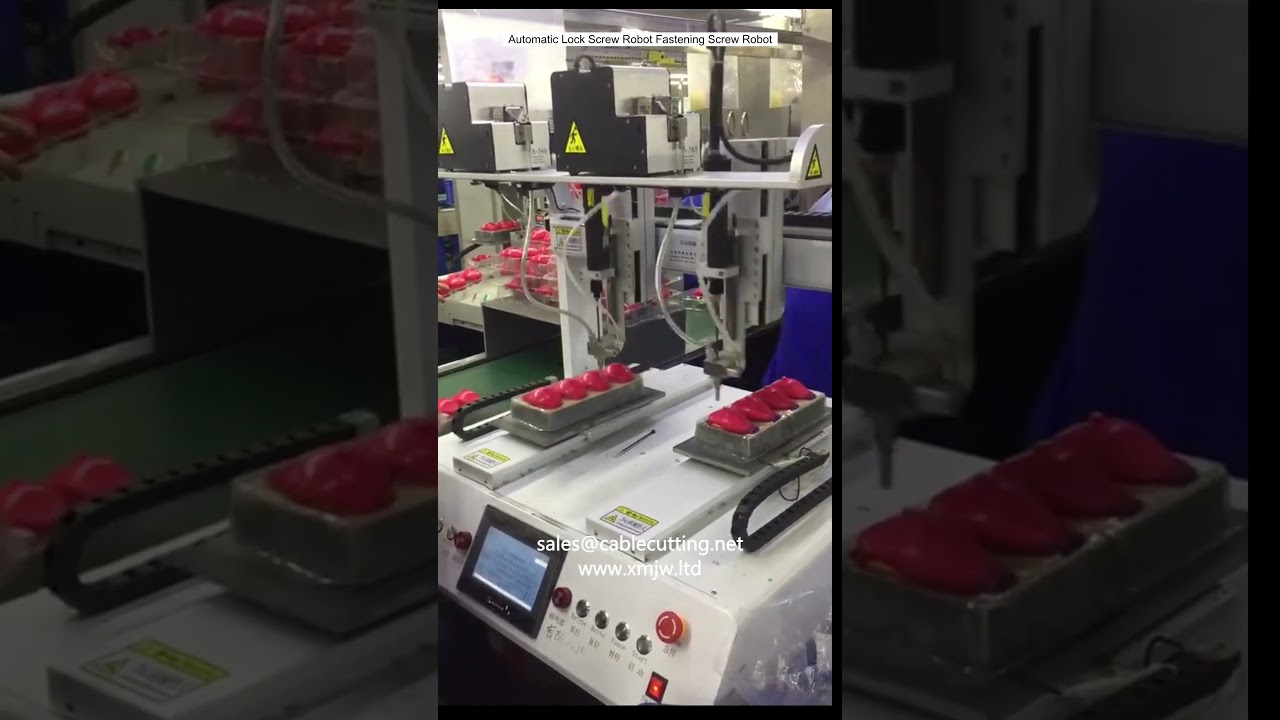 Automatischer Schraubroboter – Präzise Schraubmontage für Ihre Produktion