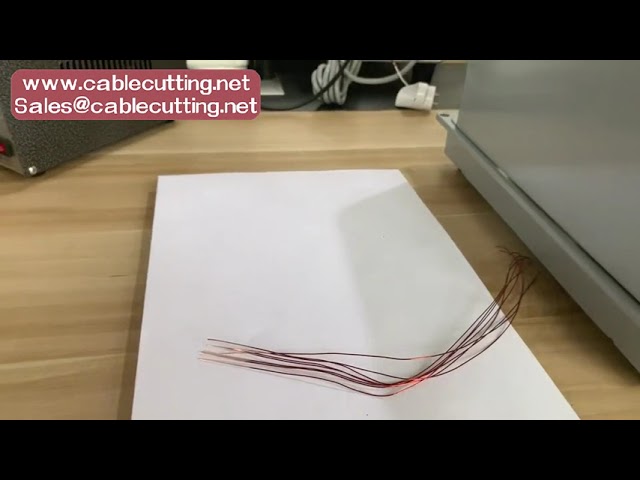 Präzise Magnetlackdraht-Abisolier maschine für Motoren & Transformatoren | Effiziente Drahtentlackung