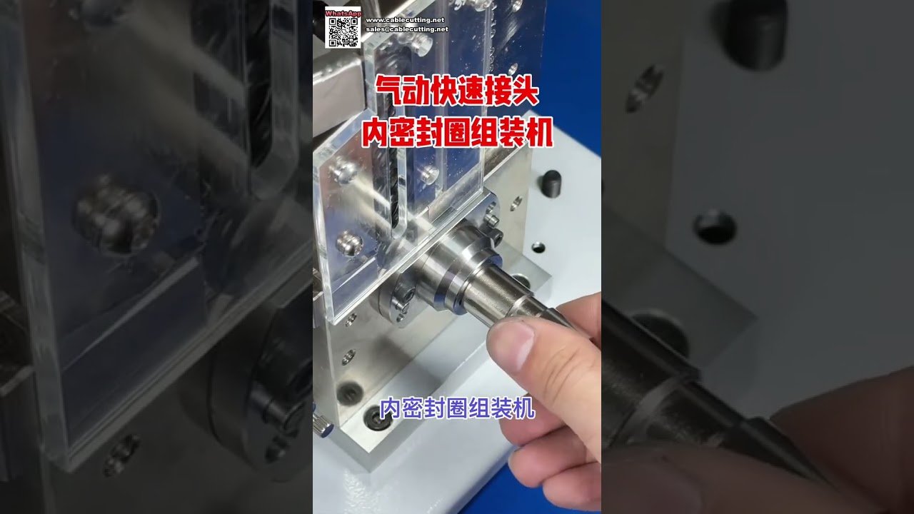 Hochleistungs-Automatisierungsmaschine für die Montage von O-Ringen und Dichtungskomponenten