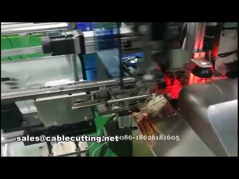 Automatische Drahtbearbeitungsmaschine: Abisolieren, Verdrillen, Löten, Crimpen & Gehäuse einsetzen