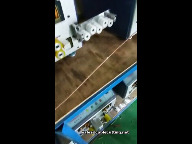 Automatische Mittelabstreifmaschine mit 12 Stationen – Hochleistungs-Industrietechnik