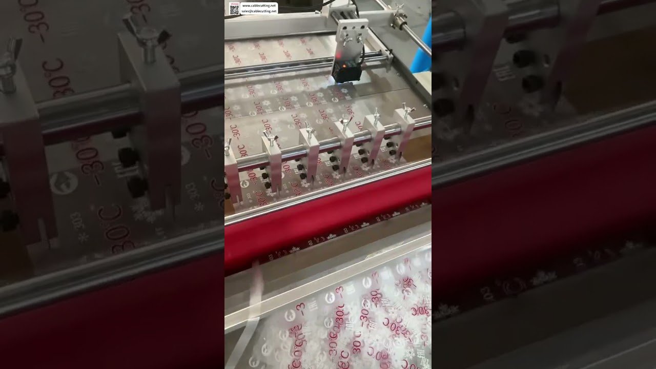 Hochgeschwindigkeits-Präzisions-Etikettenschneidemaschine mit Querschneider und photoelektrischer Nachführung – Einrichtung