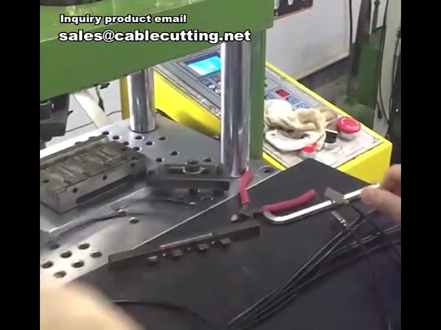 Professionelle Spritzgießmaschinen: Steckverbinder, Apple Head & mehr