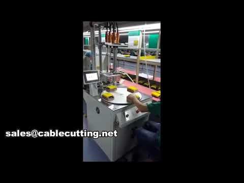 Automatische Schraubverriegelungsmaschine WPM-803 – Effizienz für Ihre Fertigungslinie