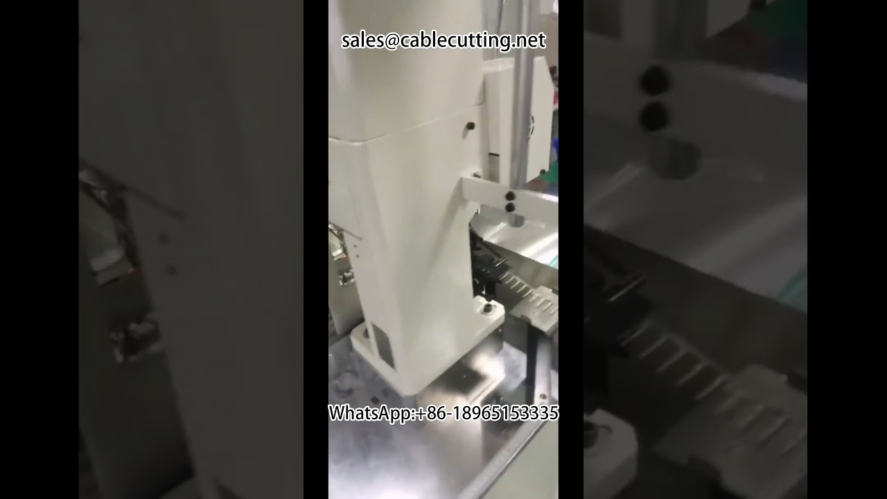 Doppelkopf automatische wasserdichte Schraubanschlussmaschine | Automatisierungsausrüstung | Kabelbaumgerät