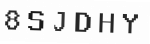 Verification Code Image